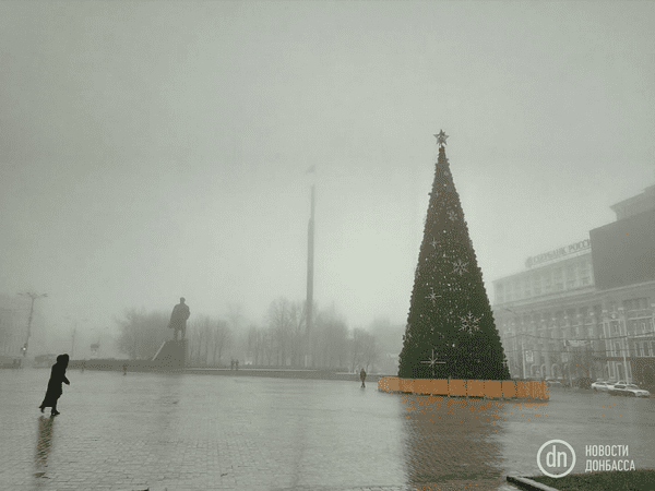 Как выглядит главная новогодняя елка Донецка