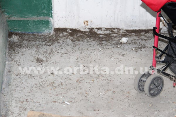 Жителей многоэтажки в Покровске атакуют крысы и комары
