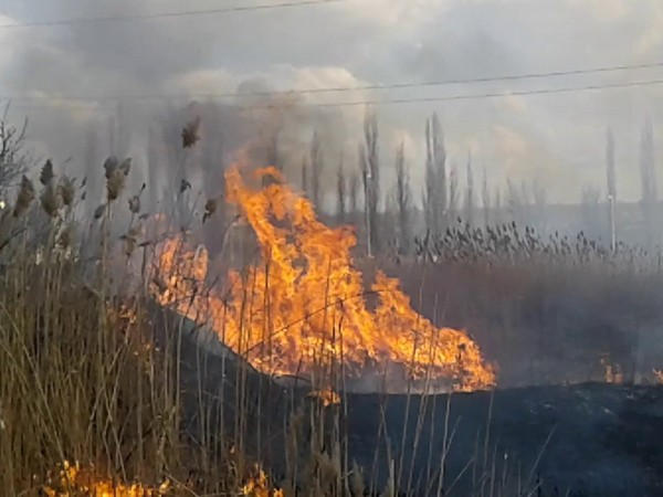 На выходных спасатели тушили пожары в природных экосистемах в Селидово