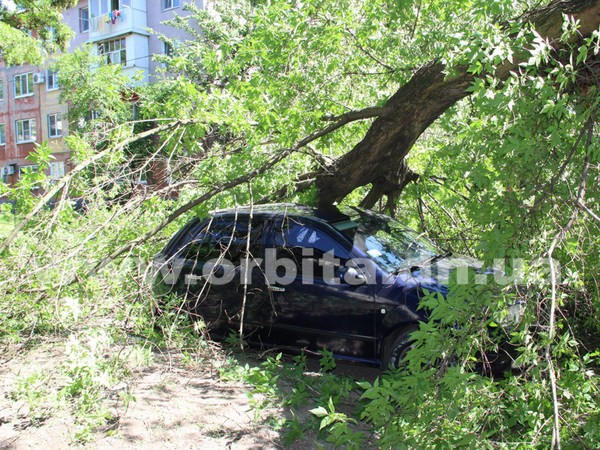 В центре Покровска на автомобиль упало дерево