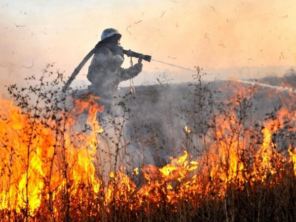 В Селидово спасателям пришлось тушить пожар на открытой территории