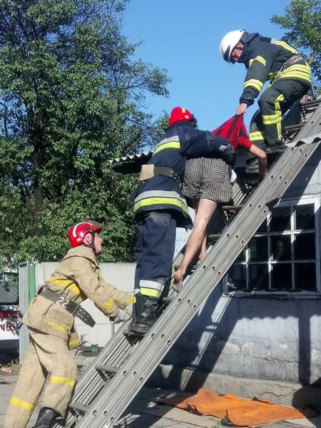 Жителю Новогродовки, чтобы слезть с крыши дома, пришлось вызывать спасателей