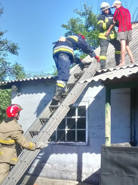 Жителю Новогродовки, чтобы слезть с крыши дома, пришлось вызывать спасателей