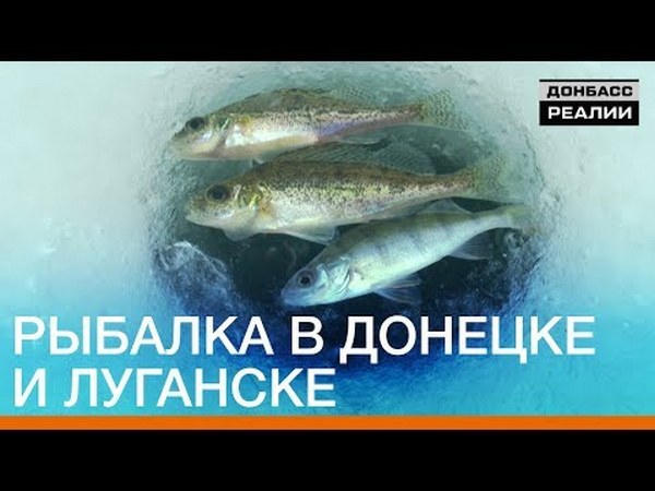 Журналисты показали особенности зимней рыбалки в оккупированном Донецке