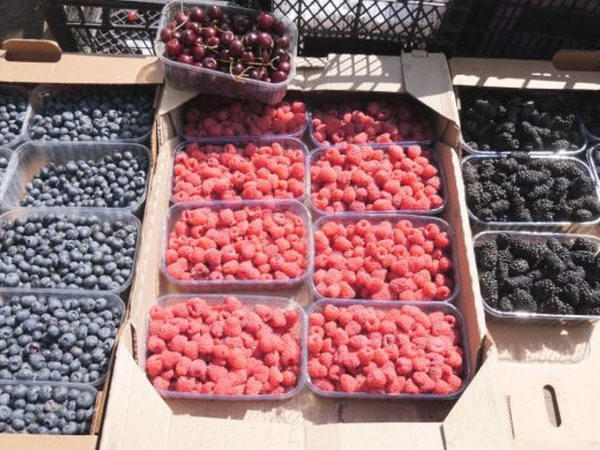 Цены на малину в Покровске бьют рекорды