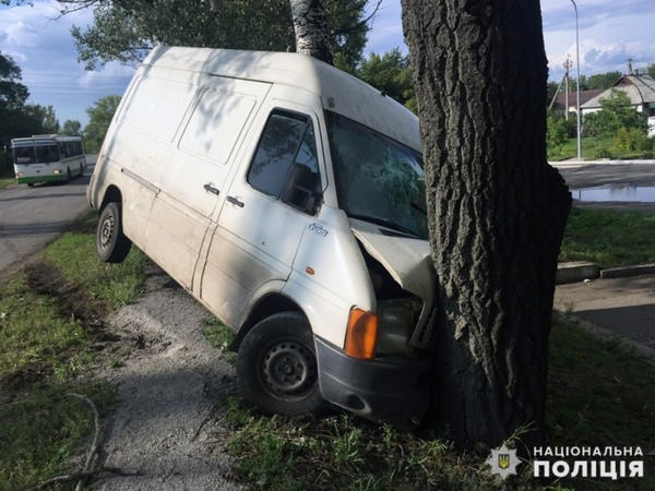 В Горняке водитель микроавтобуса заснул за рулем, задел два автомобиля и врезался в дерево
