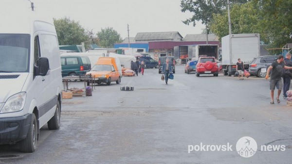 После нападения стаи собак жительница Покровска оказалась в травматологии