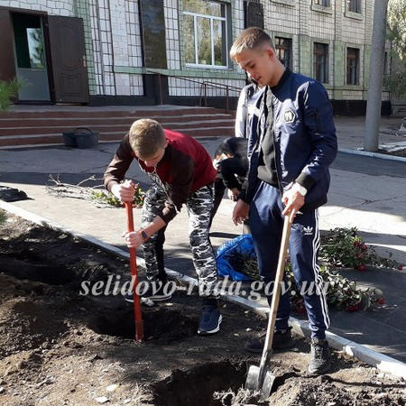В Селидово возле школы посадили аллею роз
