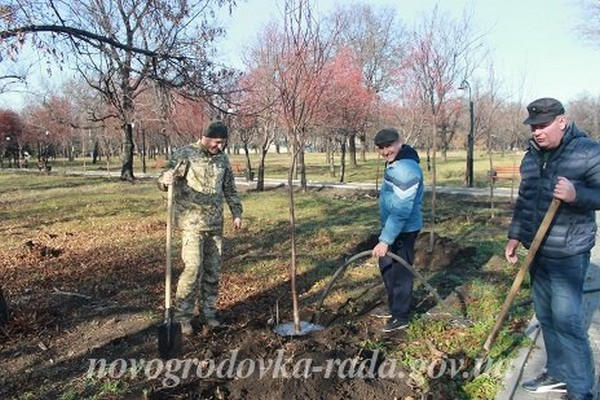 Военнослужащие высадили новые деревья в городском парке Новогродовки
