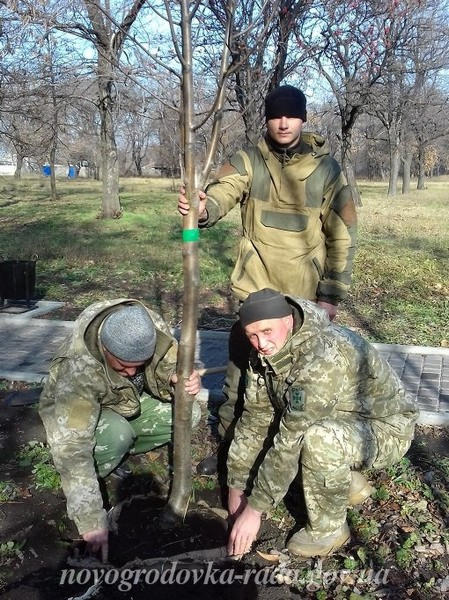Военнослужащие высадили новые деревья в городском парке Новогродовки