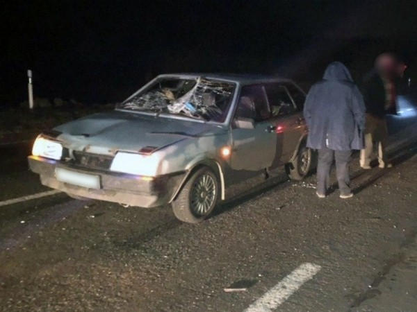 Водитель автомобиля сбил насмерть пешехода на автодороге между Покровском и Селидово