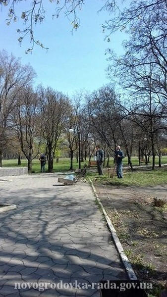 В Новогродовке проводят работы по озеленению города