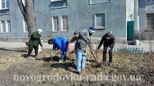 В Новогродовке проводят работы по озеленению города