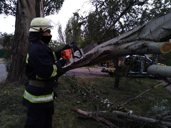 В Украинске спасатели спилили аварийные деревья