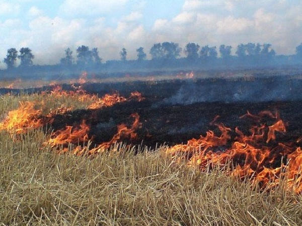 В Украинске выгорело 2 гектара травы