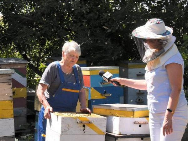 Пчеловоды рассказали, сколько будет стоить мед в этом году