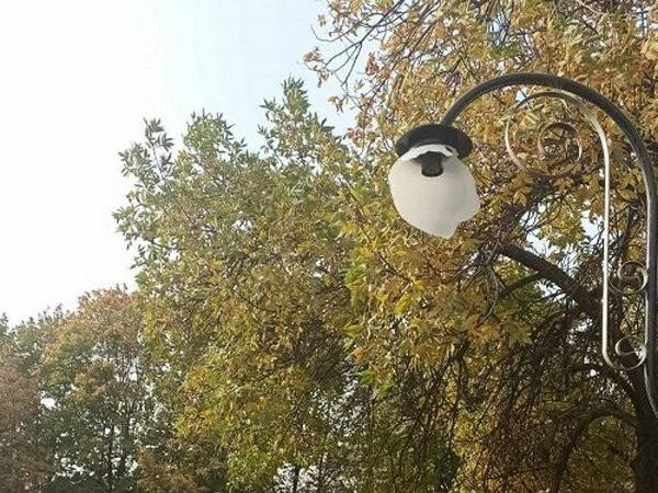 В Новогродовке неизвестные вандалы побили фонари в городском парке