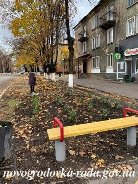 В Новогродовке высадили деревья и кусты роз