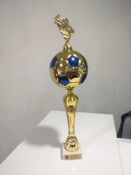 Команда из Селидово стала победителем юношеского футбольного турнира в Мариуполе