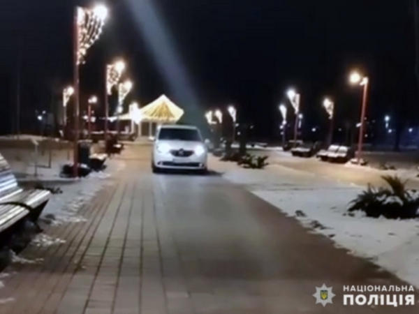 В Покровске оштрафовали водителя автомобиля, который решил покататься по парку