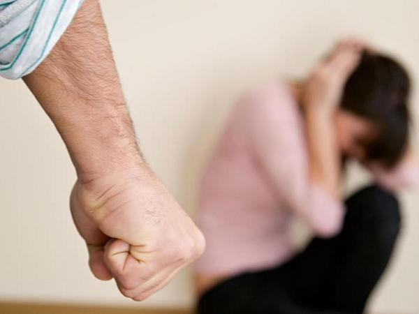 Сколько фактов домашнего насилия зафиксировали покровские полицейские с начала года