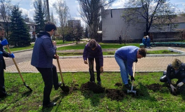 В Селидово продолжаются работы по озеленению города