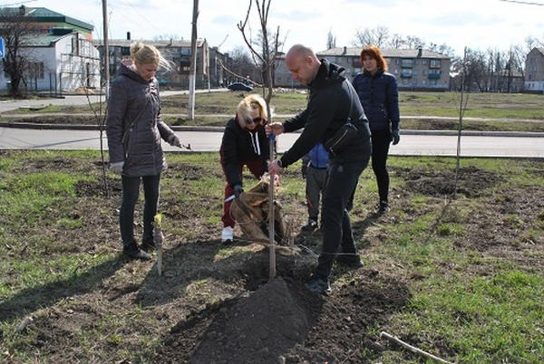 В Новогродовке высадили около 50 молодых деревьев