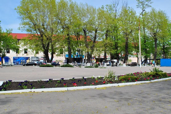 В Новогродовской громаде высадили около тысячи саженцев разноцветных петуний