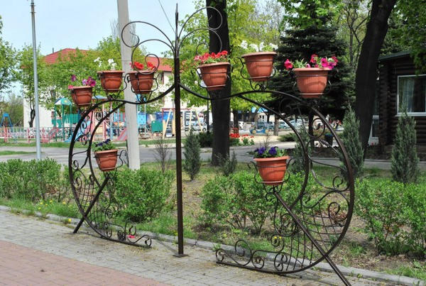 В Новогродовской громаде высадили около тысячи саженцев разноцветных петуний