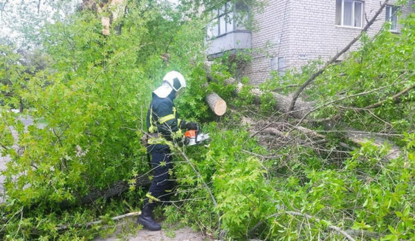 Из-за сильного ветра на дорогу в Покровске упало дерево