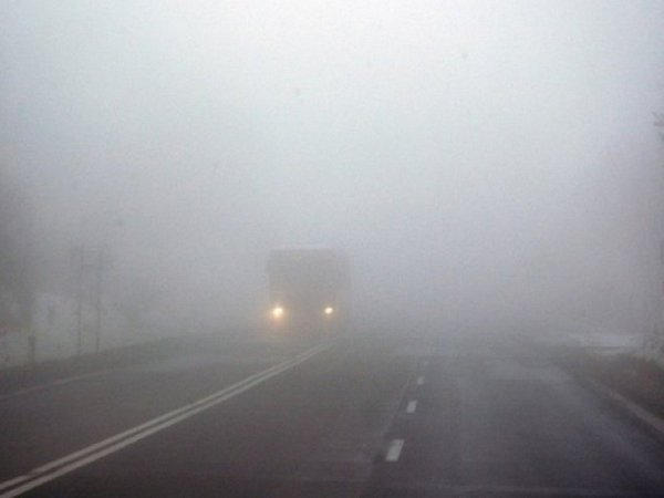 Донецкую область накроет густой туман