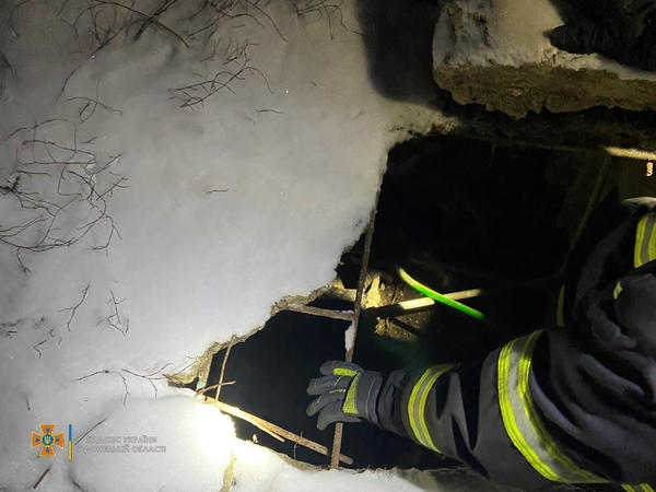 В Селидово собака упала в канализационный колодец: пришлось вызывать спасателей